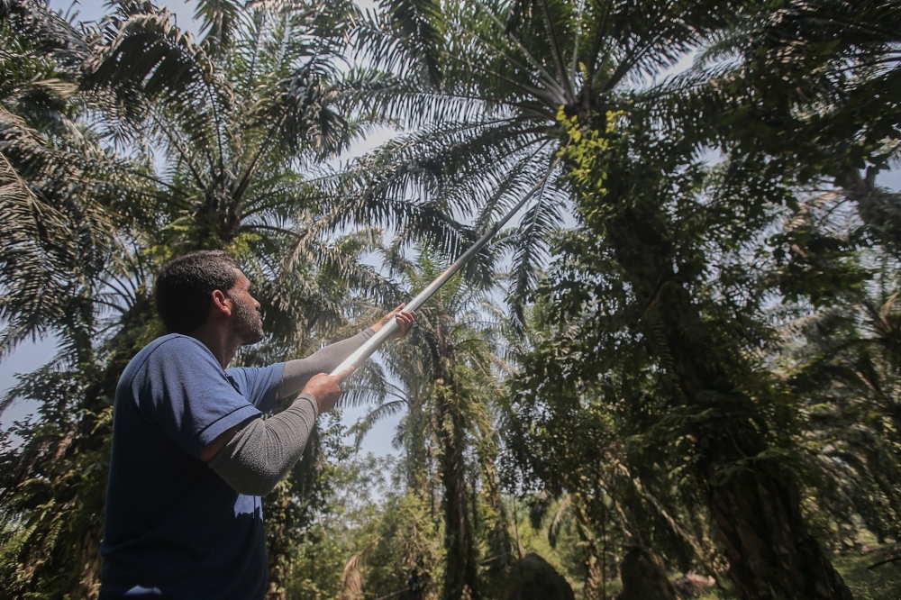 The unsung gentleman of global sustainability — Ahmad Ibrahim