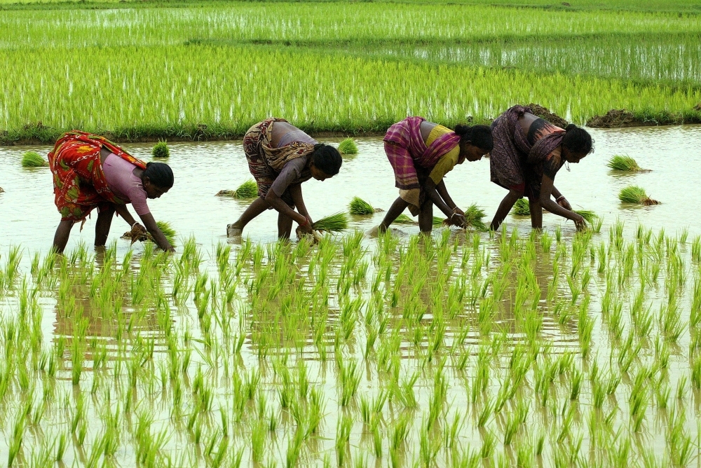 How India's early, abundant monsoon could cool prices, fuel exports and drive another interest rate cut in June