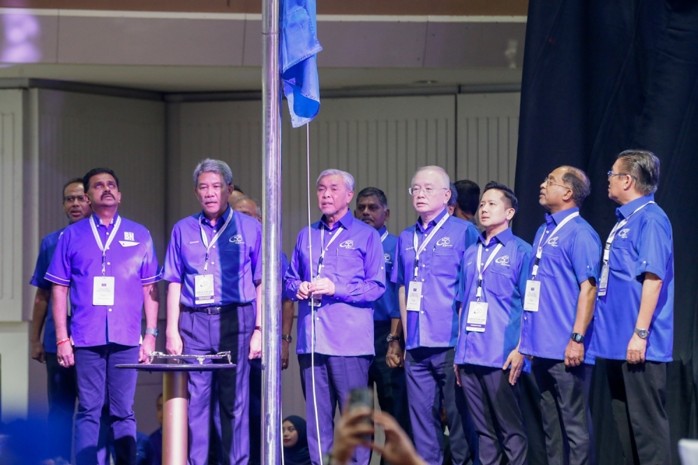Umno leader denies MCA sidelined in favour of DAP, says party still active in BN and state govts