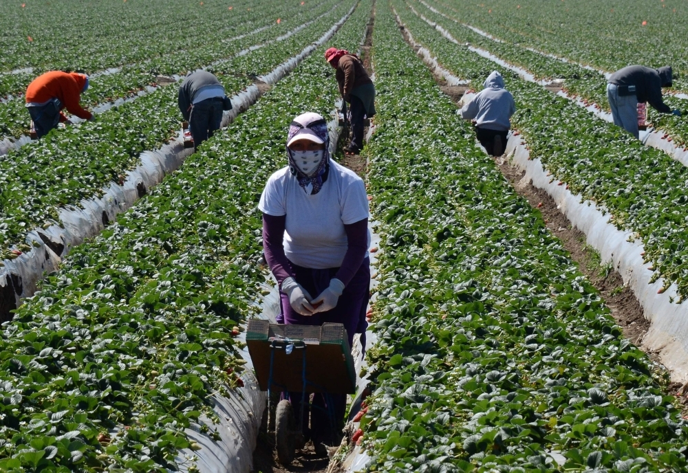 Workers' rights in global free fall: 87pc of countries violate strikes, 80pc cripple collective bargaining