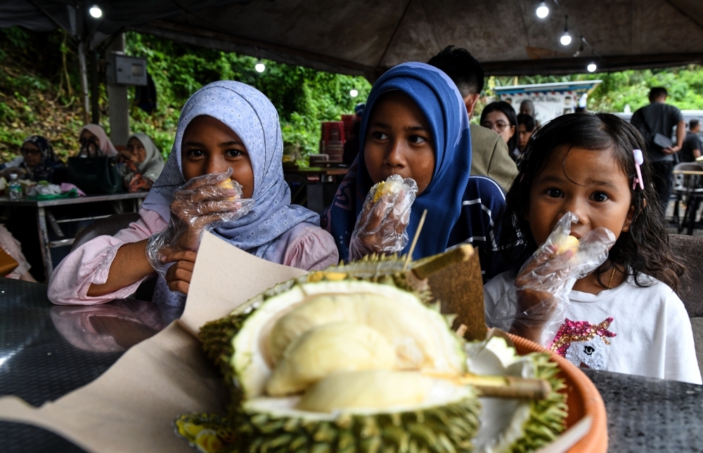 Traffic jams, sold-out hotels and durian feasts: Penang's tasty chaos as school holidays meet fruit season