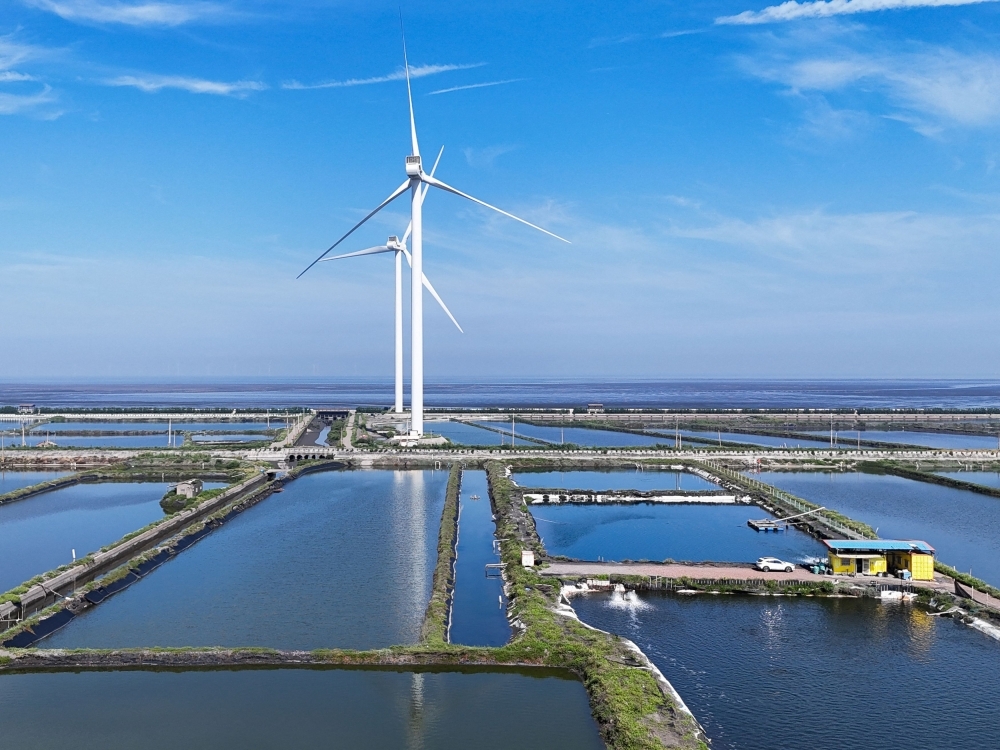 ‘Green energy is great, but…': Taiwan fishermen say they're paying wind farm price