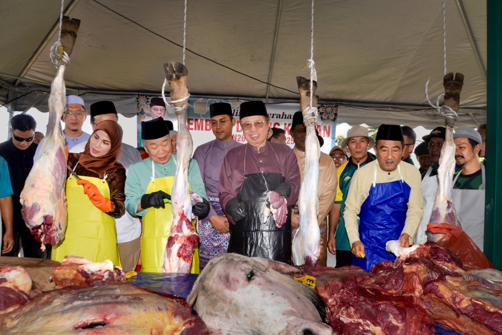 New circular agriculture plan aims to tackle Sarawak's sky-high beef costs, says Abang Johari