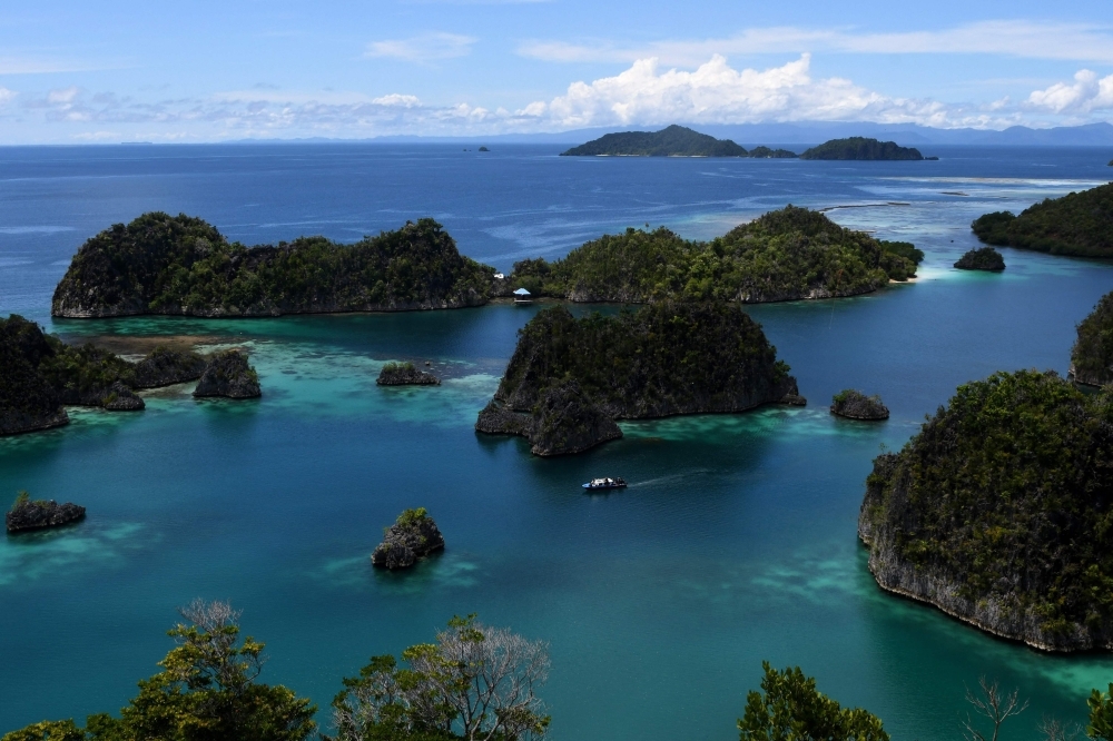 Indonesia pulls mining permits in Raja Ampat after viral outcry over nickel damage