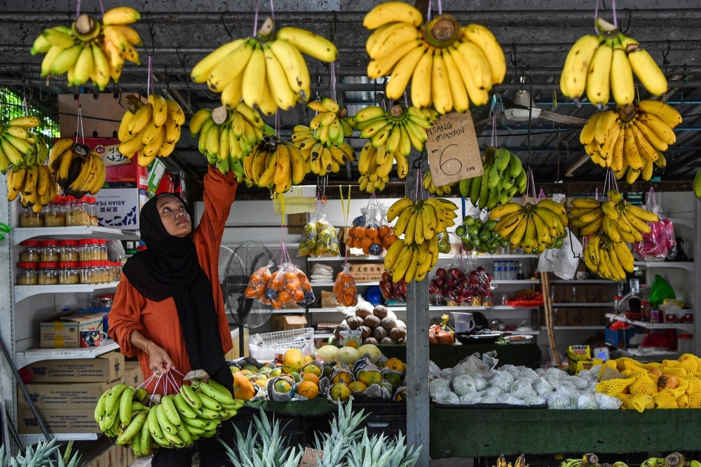 Sales tax clarification: Local fruits exempt, imported ones subject to tax, says MoF