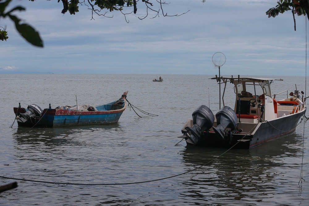 Watchdog raps Penang Fisheries Dept, urges disciplinary action over trawler zone breaches