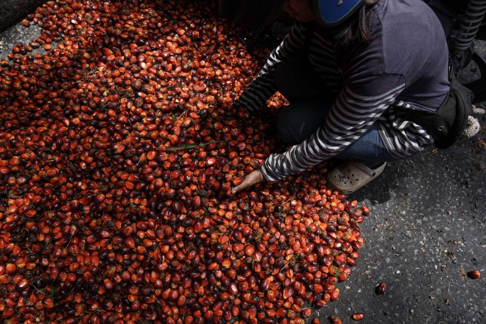 Wilmar Group hands over US$725m as court security in Indonesia palm oil export scandal
