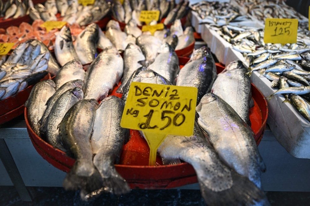 Would you like some ‘Turkish salmon'?: The Black Sea's new rose-coloured gold