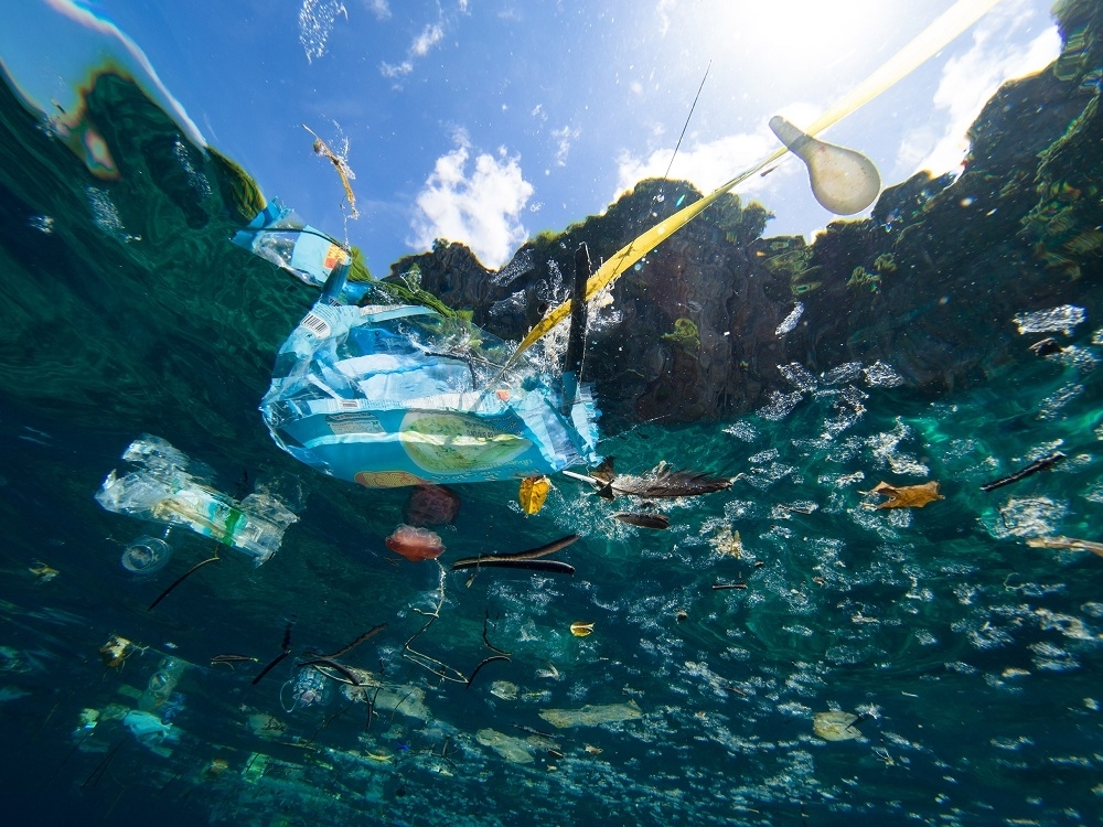 More microplastics in your beer? Blame the glass bottle, says French study