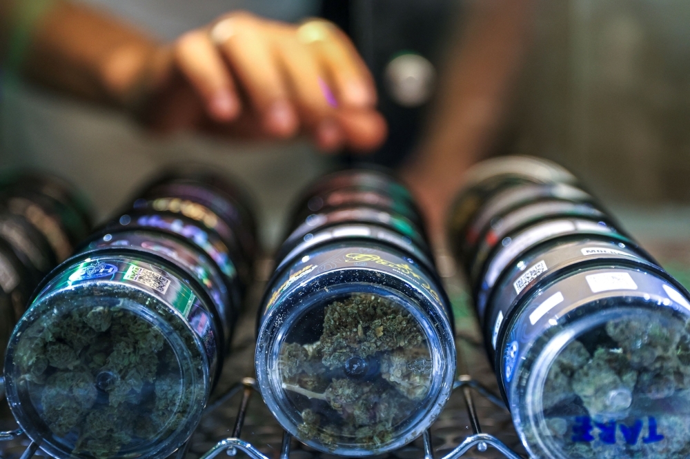 Politics over pot: Thailand moves to recriminalise cannabis, rattling US$1b industry