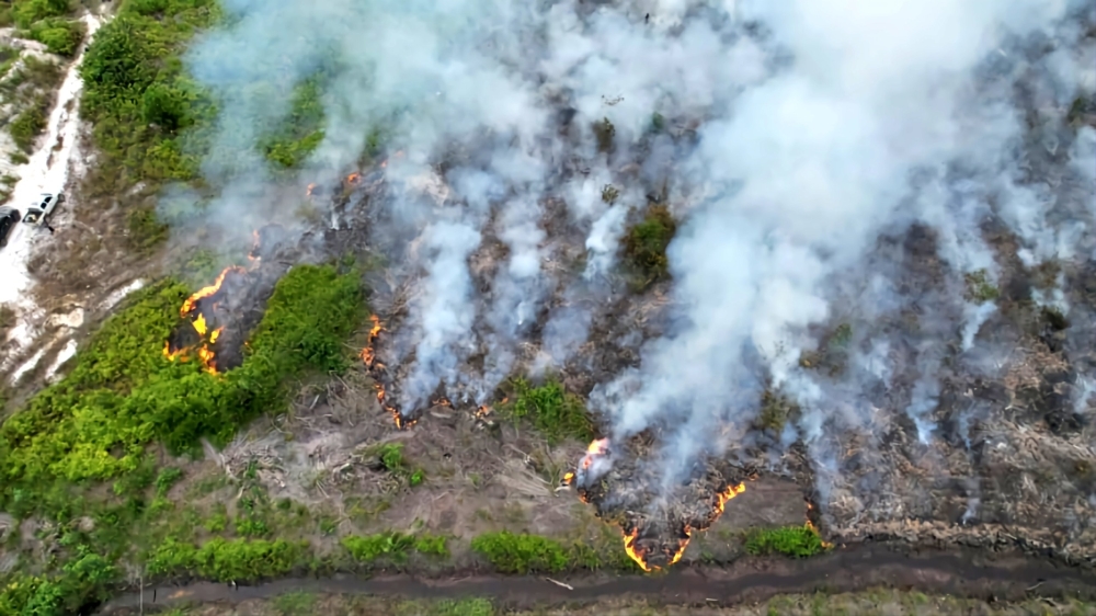 Massive 60-hectare blaze rips through forest, oil palm estate in Sibu
