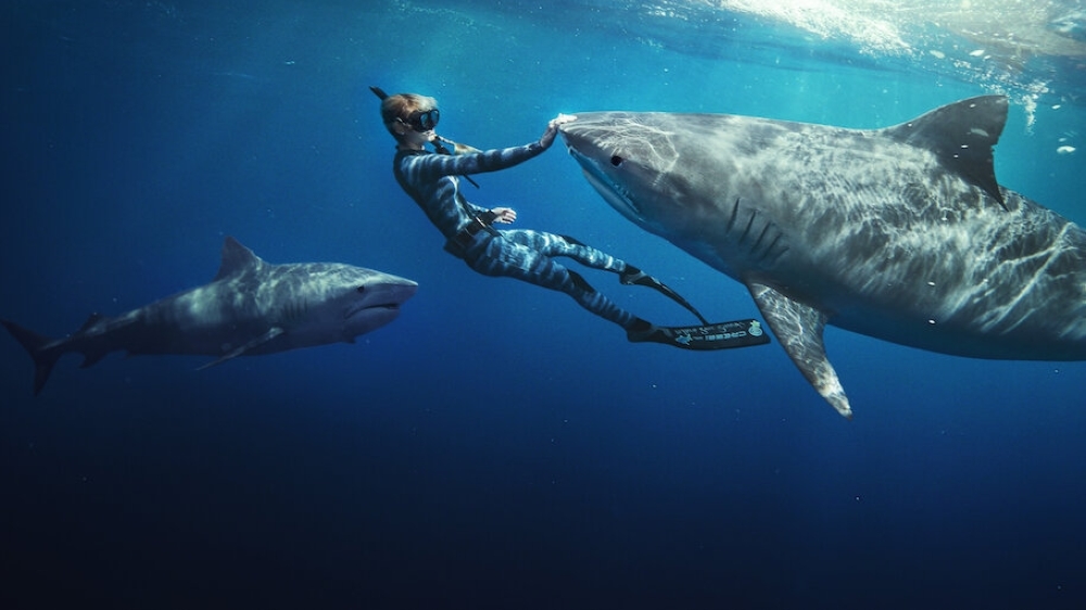 Netflix's ‘Shark Whisperer' wants us to think ‘sexy conservation' is the way to save sharks — does it have a point?