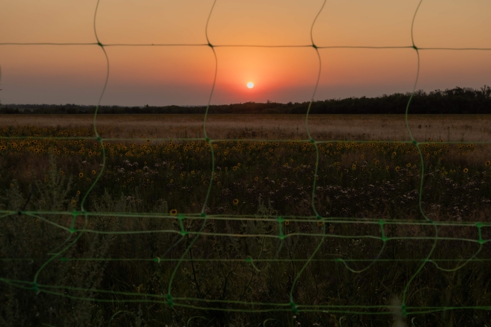 Farming the front line: How Ukraine's villagers are risking it all to bring life back to landmine-riddled fields