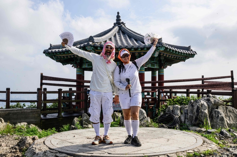 Rotten insects, viral videos and climate change: South Korea battles ‘lovebug' invasion