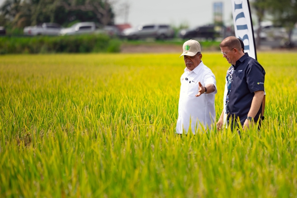 Agriculture Ministry unveils new paddy varieties MR CL3 and MR CL4 to tackle weedy rice issue