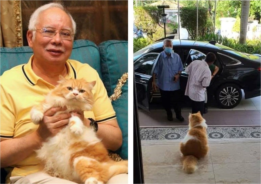 ‘Rest well, Kiky': Najib mourns death of pet cat, fans flood page with condolences