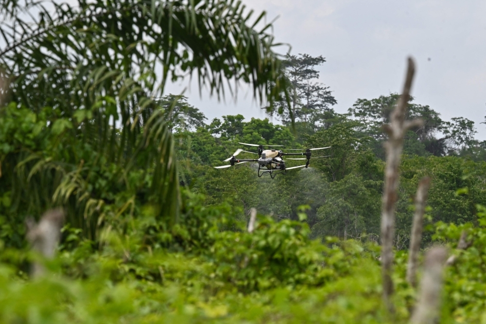 Can robots save farming? Ivory Coast youths turn to drones, AI in push to modernise cocoa sector