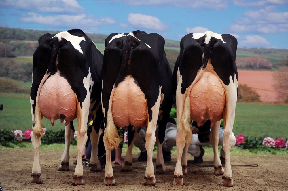 Spread too thin: Kiwis feel the pinch as butter prices soar nearly 50pc