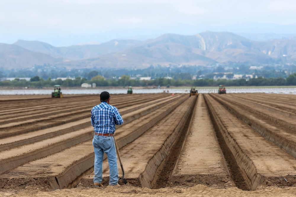 Trump's immigration crackdown puts US food security on the line, California farmers warn