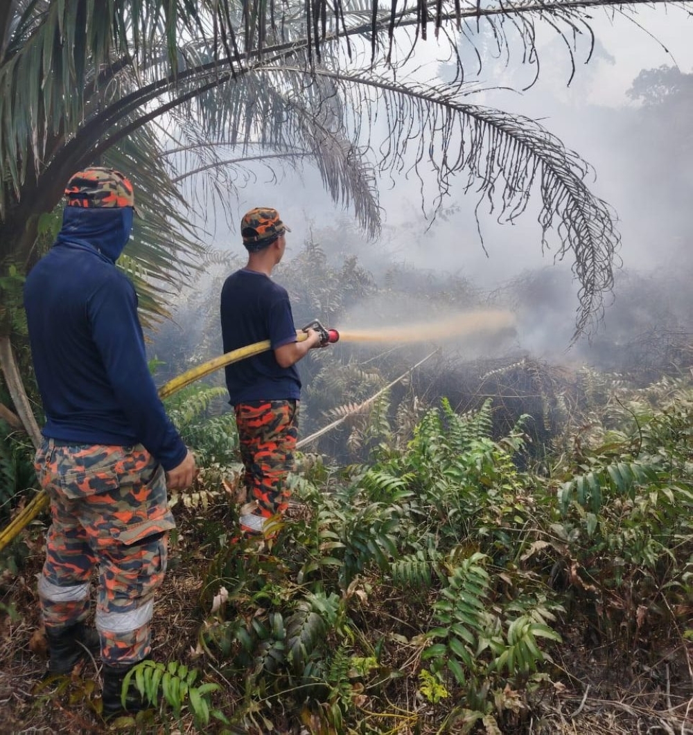 Massive peat fire spreads across Miri-Marudi pineapple plantation, scorching area the size of 112 football fields, says Fire Dept