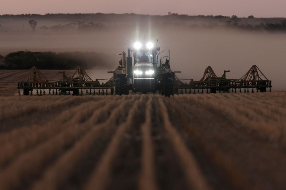 Less rain, more wheat: How Australian farmers defied climate doom