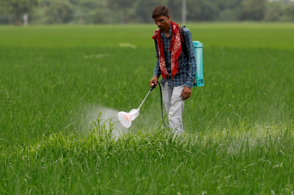 Biofuel battle: Why India is shielding its farmers in the face of US trade pressure