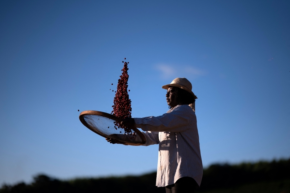 Brazil turns to WTO for relief over Trump's 50pc tariffs on coffee, beef, sugar