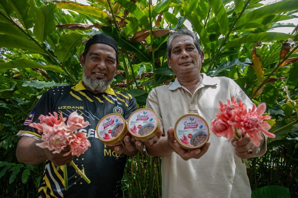 In Taiping, former engineer's ‘kantan' farming blossoms into community lifeline
