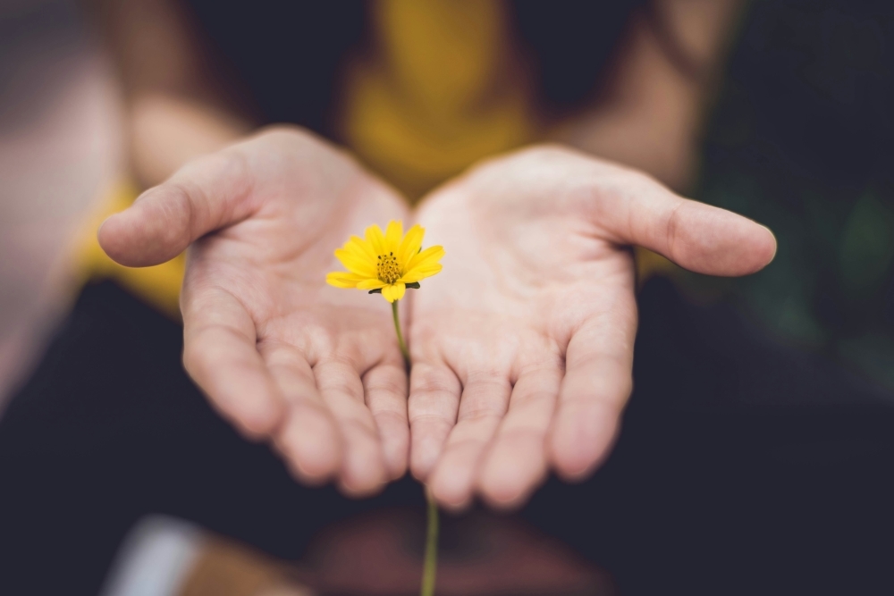 Let's read and be enlightened — Hafiz Hassan