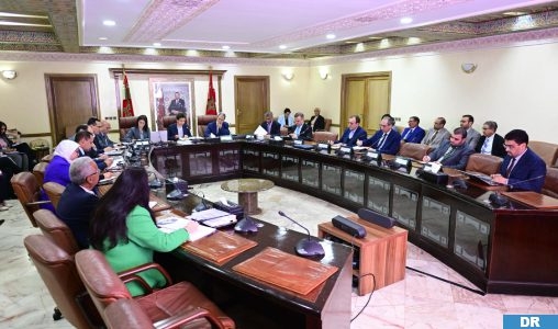 الوزيرة بنعلي: الهيدروكربورات والمعادن مفتاح السيادة الطاقية للمغرب
