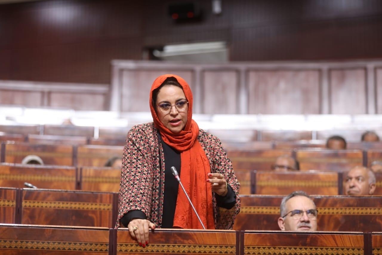 بزندفة برلمانية آسفي تدعو الوزير السكوري لمراقبة ومواكبة  برامج التشغيل