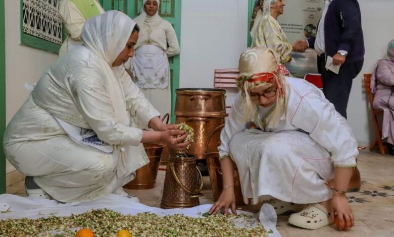 حفل فني يحتفي بتقليد تقطير ماء الزهر بمراكش