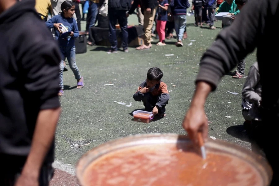 فلسطينيون في غزة يلجأون إلى لحم السلاحف وسط أزمة غذاء