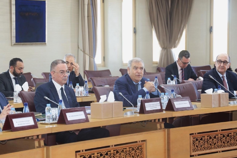 رؤساء الجهات يؤكدون على انخراطهم في إنجاح المشاريع الخاصة بتنظيم كأس إفريقيا