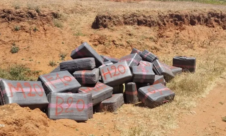 الدرك الملكي بالجديدة يحجز 100 رزمة من الشيرا