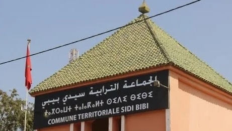 جماعة سيدي بيبي توضح حقيقة حكم قضائي في قضية  بطلها 'كلب'