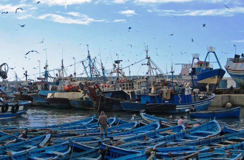 موانئ الواجهة المتوسطية.. ارتفاع بنسبة 7 % في كمية مفرغات الصيد البحري