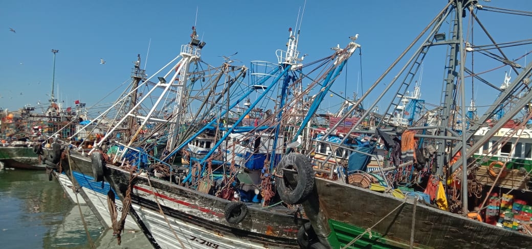انخفاض مفرغات الصيد الساحلي والتقليدي بـ 32% بميناء الصويرة