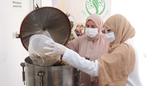تنمية بشرية.. دعم مشاريع تعاونيات بأزيد من 3,65 مليون درهم