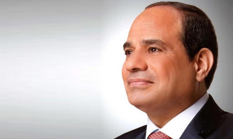 الرئيس السيسي يعود إلى أرض الوطن بعد مشاركته في قمة الاتحاد الأفريقي بغينيا