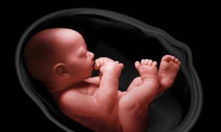 ما حكم تناول أدوية لتحديد نوع الجنين ؟