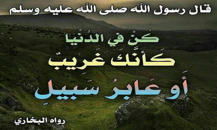 الحياة الدنيا .. ممر وليست مستقر