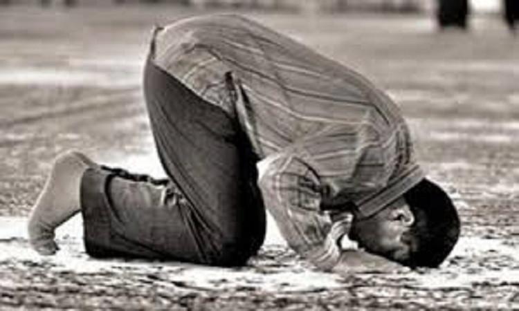 أمين الفتوى يوضح الهيئة الصحيحة للسجود