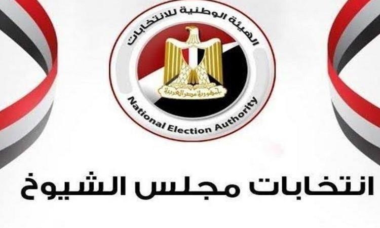 د.إلهام يونس:الإعلام المحايد مفتاح تعزيز المشاركة السياسية للمصريين