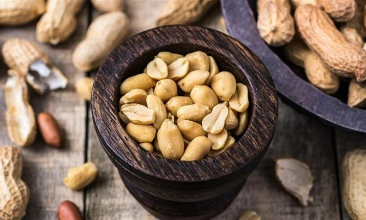 دراسة: الفول السوداني غير المملح سلاح ضد الشيخوخة والأمراض المزمنة