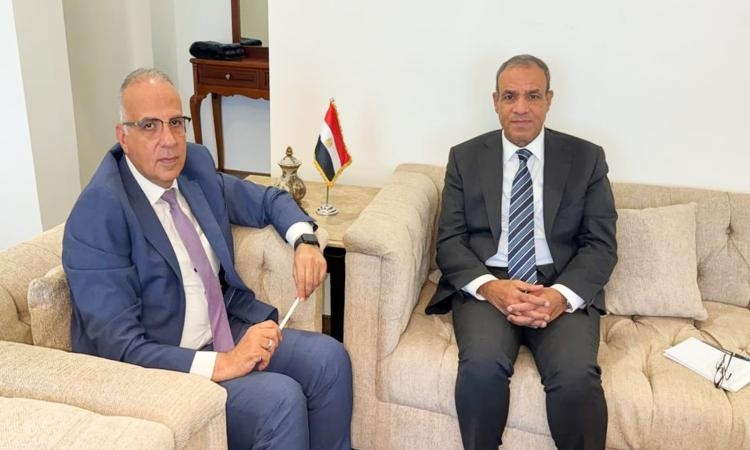 وزيرا الخارجية والري يبحثان الآليات المختلفة للتعاون مع دول حوض النيل