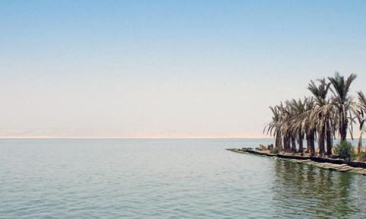 من بحيرة قارون.. انطلاق ملتقى الفيوم للرسوم المتحركة