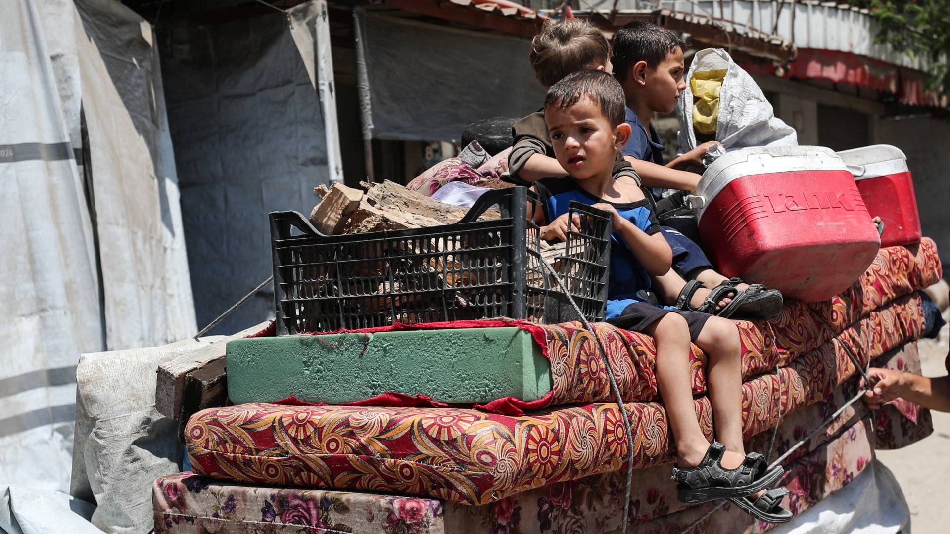 Doctors Without Borders slams Gaza aid deliveries as ‘slaughter, not humanitarian relief'
