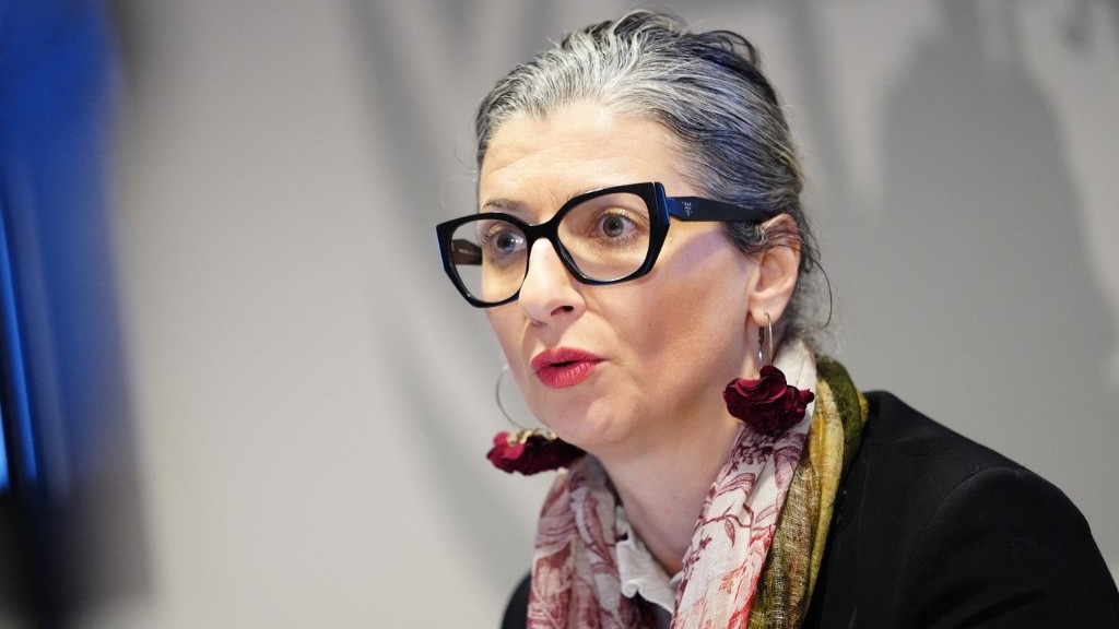 Francesca Albanese: David Cameron could be criminally liable for threatening ICC