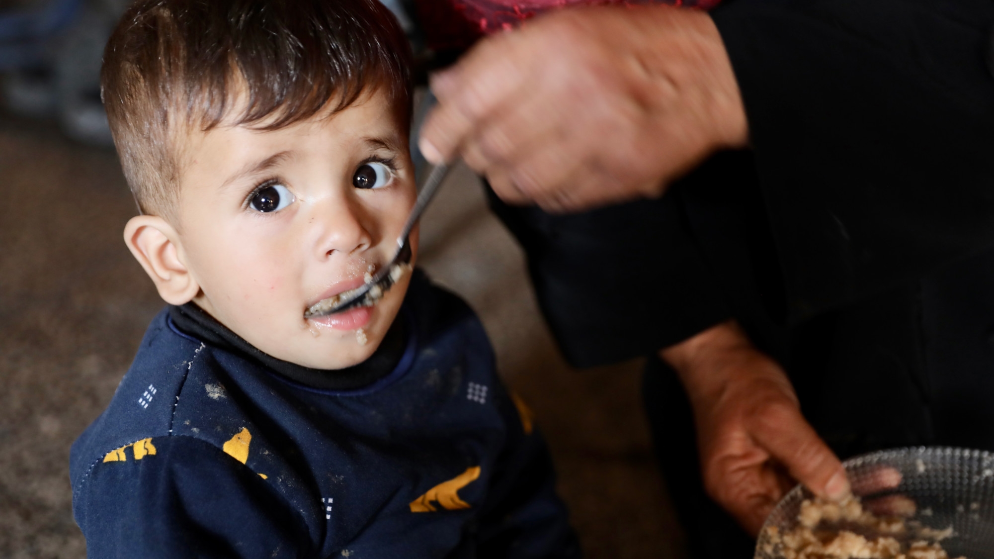 From feast to survival: The ‘fake' makloubeh and fattah of a starving Gaza